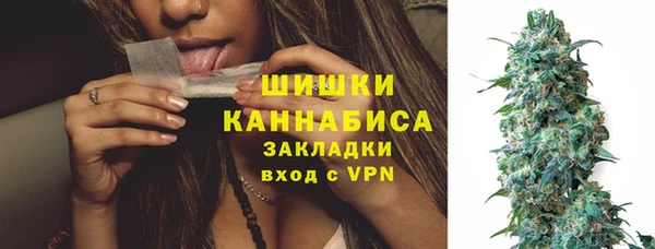 молекула духа Кулебаки