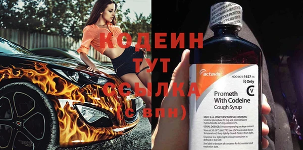 крисы Куйбышев
