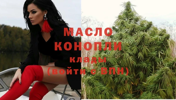 молекула духа Кулебаки