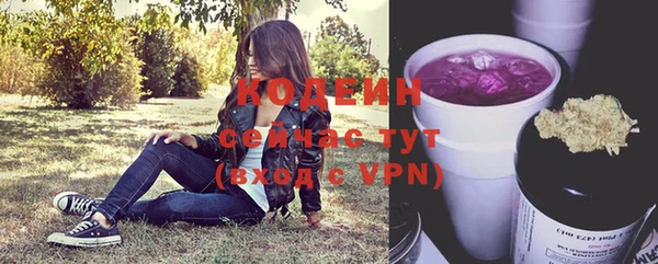 молекула духа Кулебаки