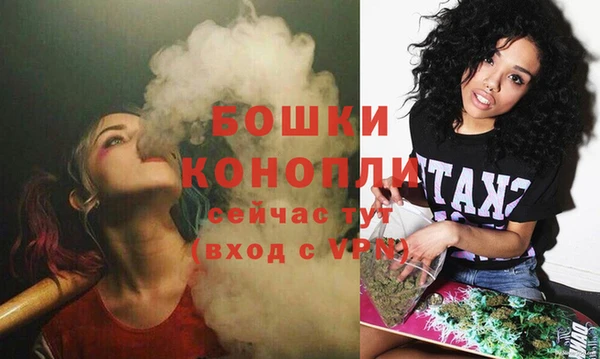 молекула духа Кулебаки