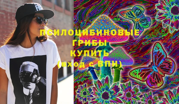 молекула духа Кулебаки