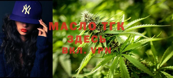 молекула духа Кулебаки
