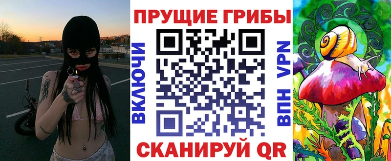 Купить закладки  Печора  Псилоцибиновые грибы прущие грибы 